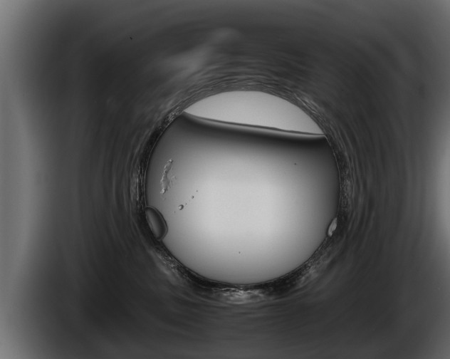 X0000086760379200704130820