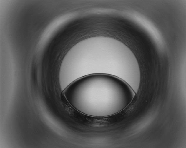 X0000086760382200704130820