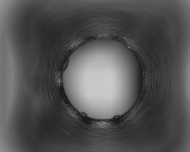 X0000086760383200704130820
