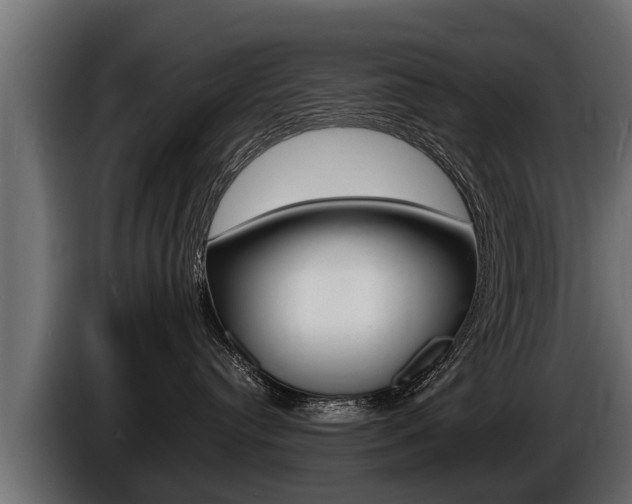 X0000086760384200704130820