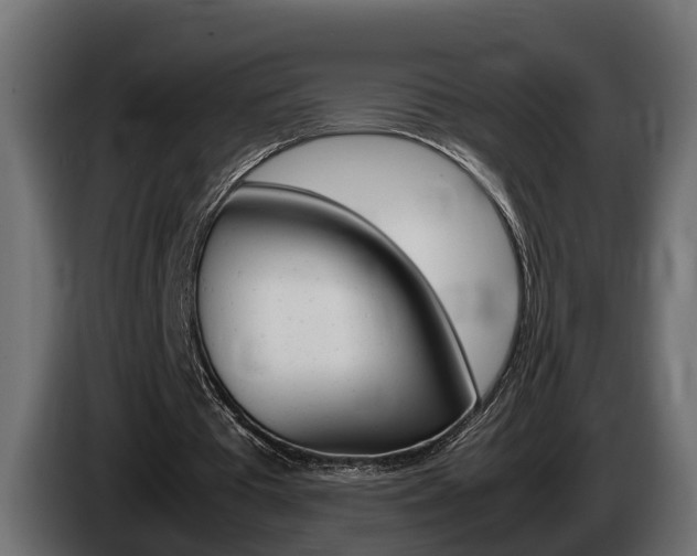 X0000086760385200704130819