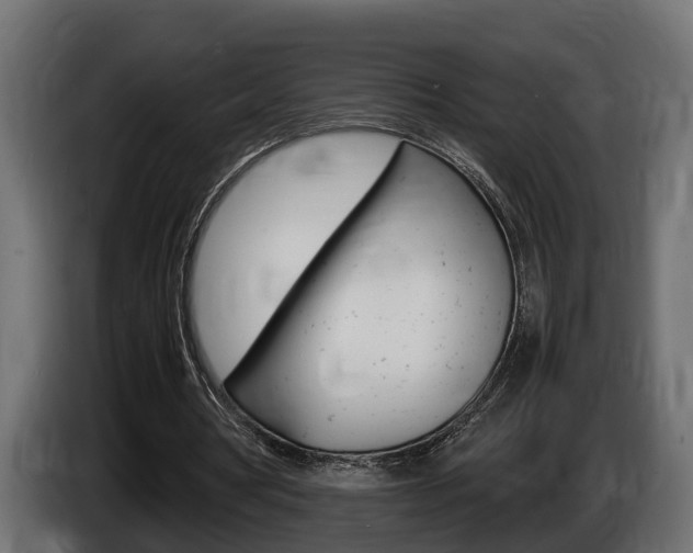 X0000086760386200704130819