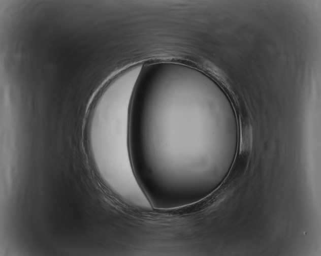 X0000086760387200704130819