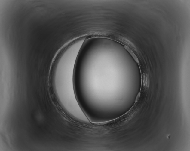X0000086760388200704130819