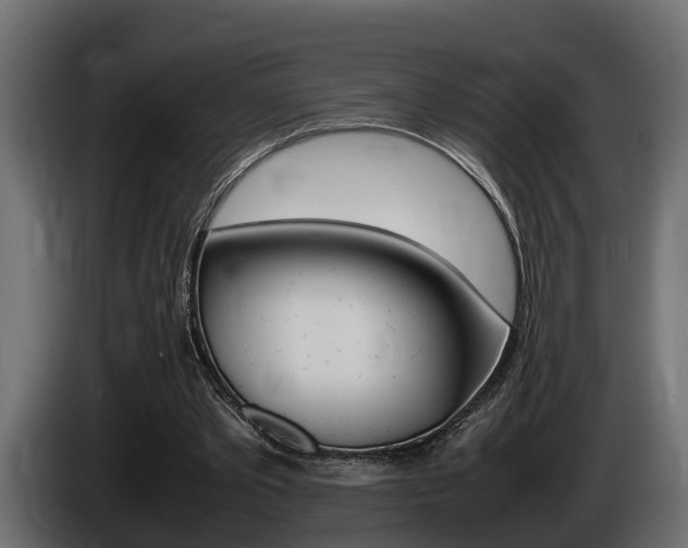 X0000086760389200704130819