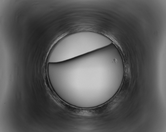 X0000086760390200704130819