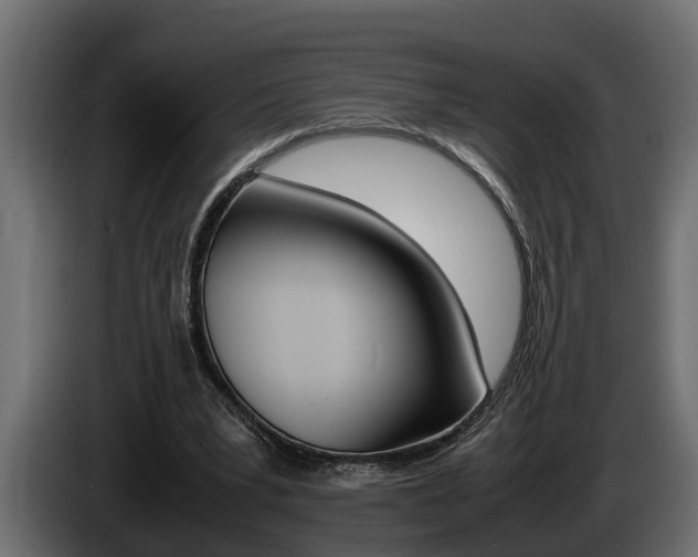 X0000086760391200704130819
