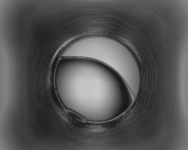 X0000086760392200704130819