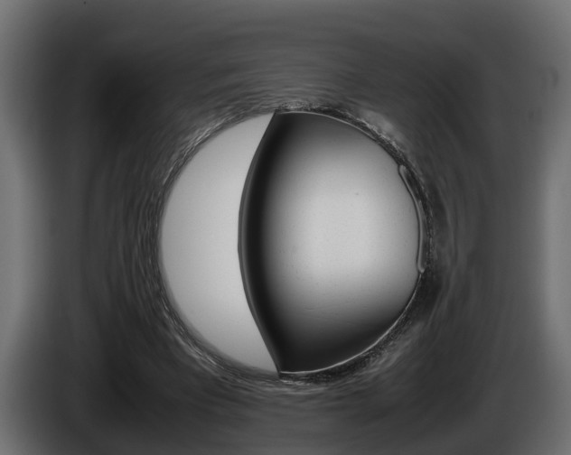 X0000086760393200704130819