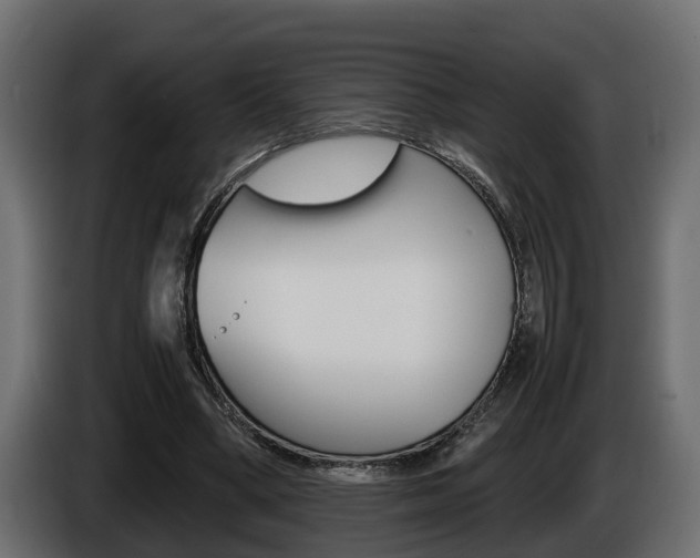 X0000086760394200704130819