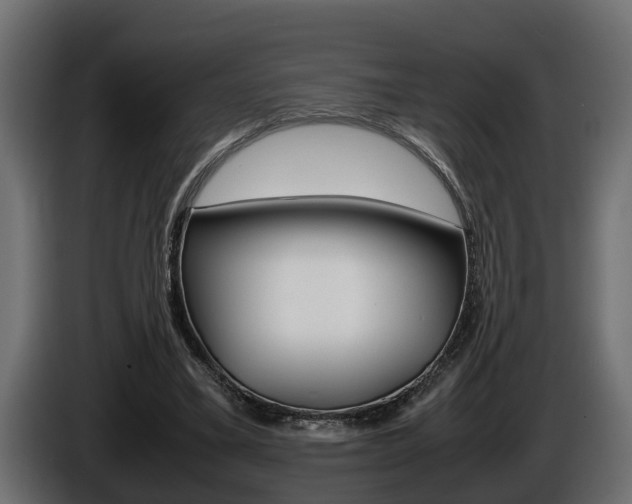 X0000086760395200704130819