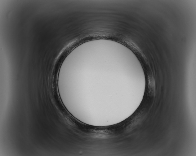 X0000086760396200704130819