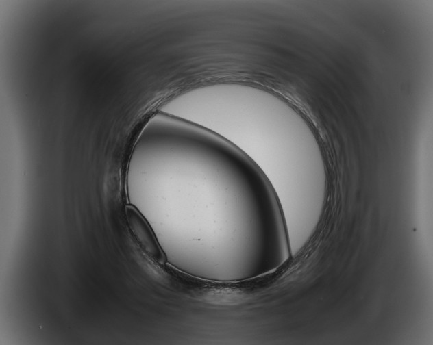 X0000086760397200704130819