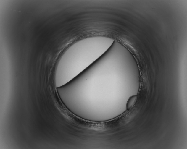 X0000086760398200704130819