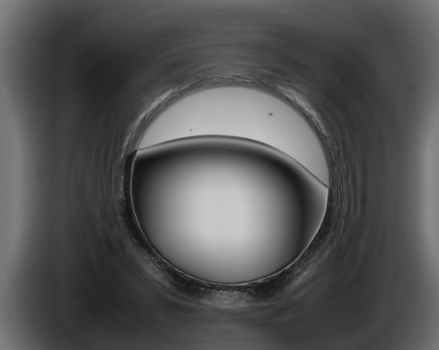 X0000086760399200704130819