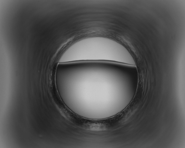 X0000086760400200704130819