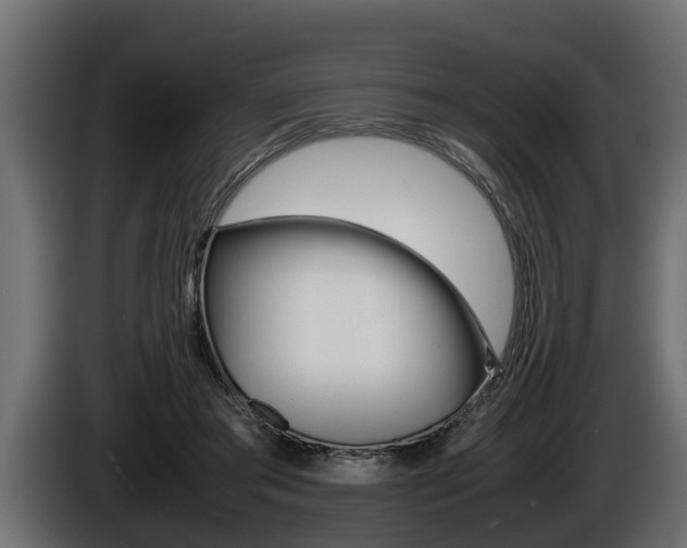X0000086760405200704130819