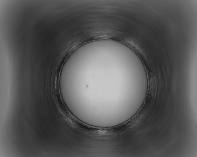 X0000086760406200704130819