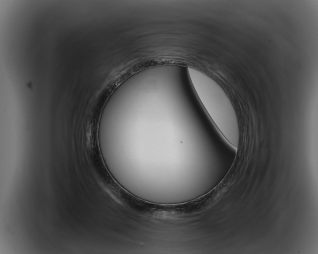 X0000086760408200704130819
