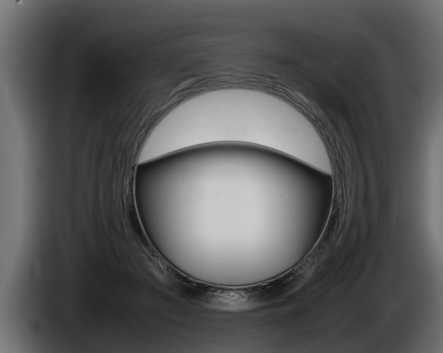 X0000086760409200704130819