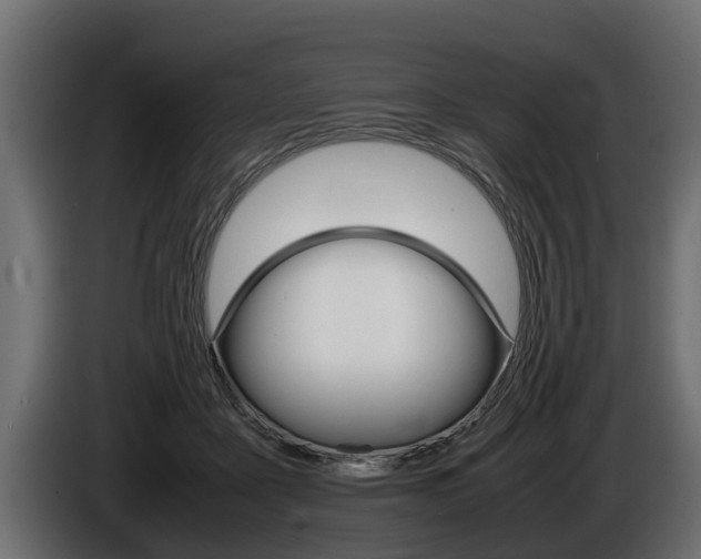 X0000086760411200704130819