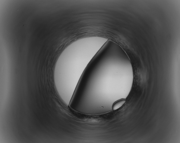 X0000086760412200704130819