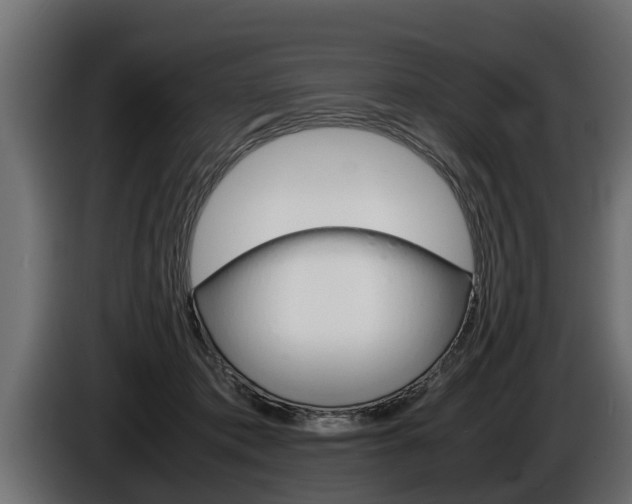 X0000086760413200704130819