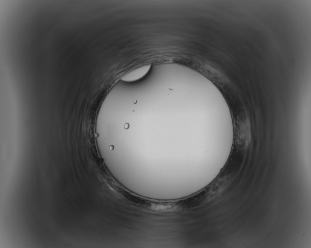 X0000086760414200704130819