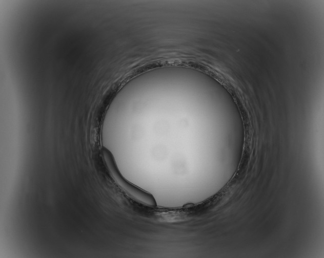 X0000086760417200704130819