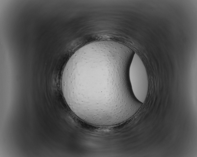 X0000086760418200704130819