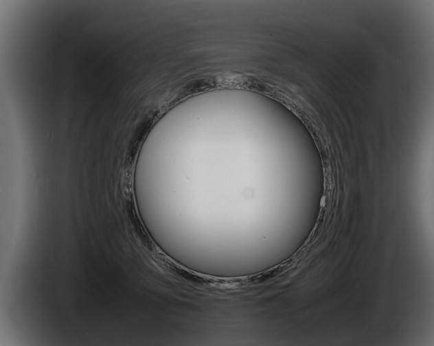 X0000086760419200704130819