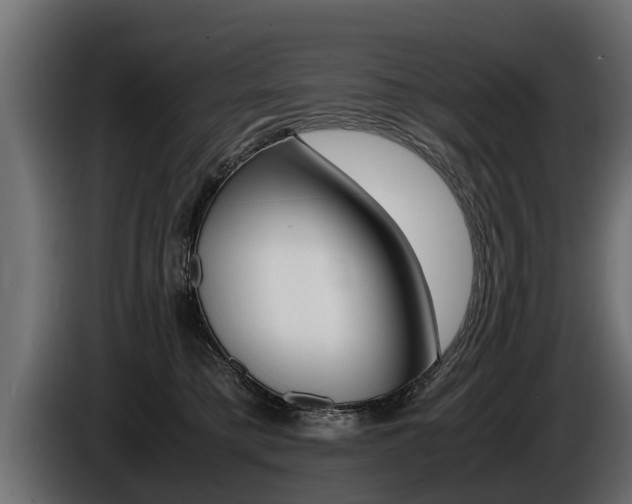 X0000086760421200704130819