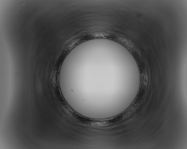 X0000086760422200704130819