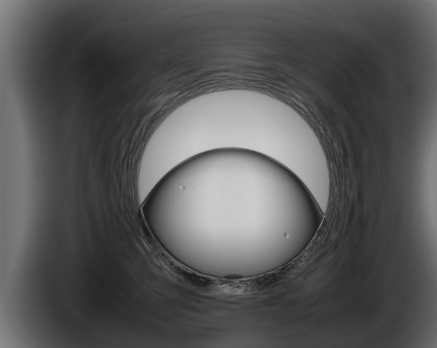 X0000086760423200704130819