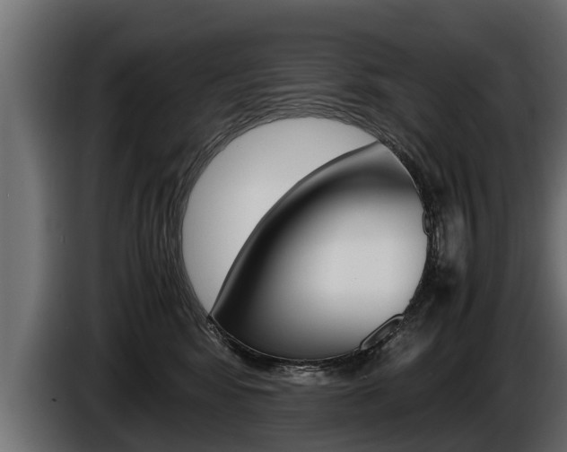 X0000086760424200704130819