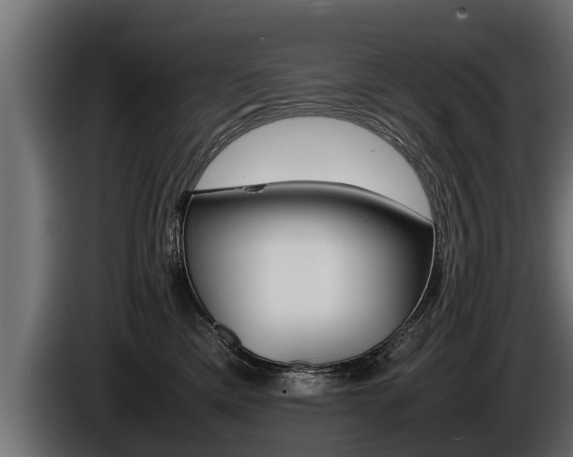 X0000086760425200704130819