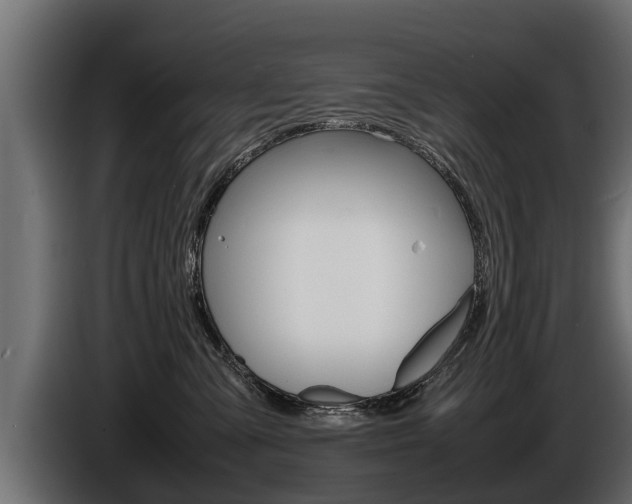 X0000086760427200704130818
