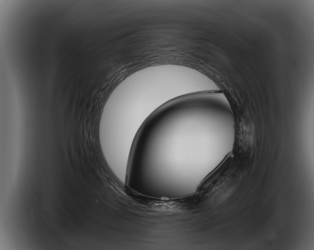 X0000086760428200704130818