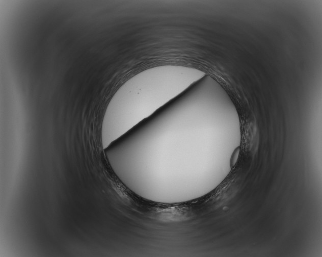 X0000086760430200704130818