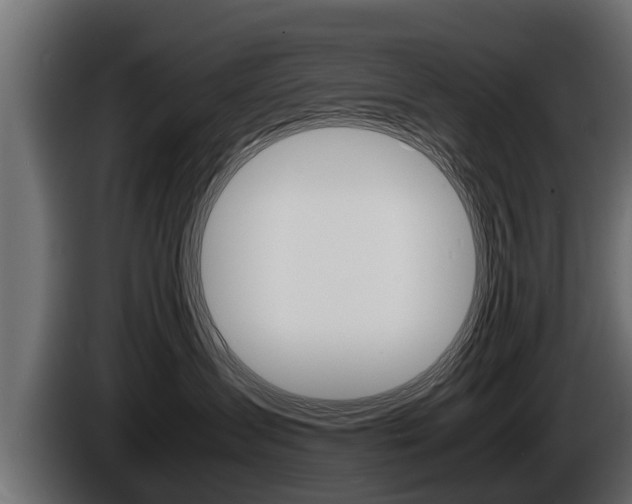 X0000086760431200704130818