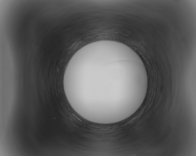 X0000086760432200704130818