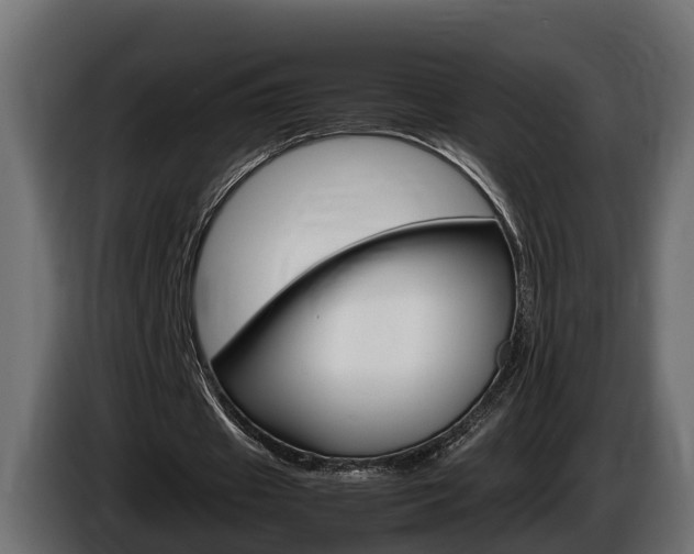 X0000086760433200704130818