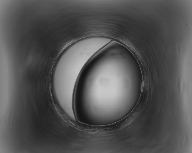 X0000086760434200704130818