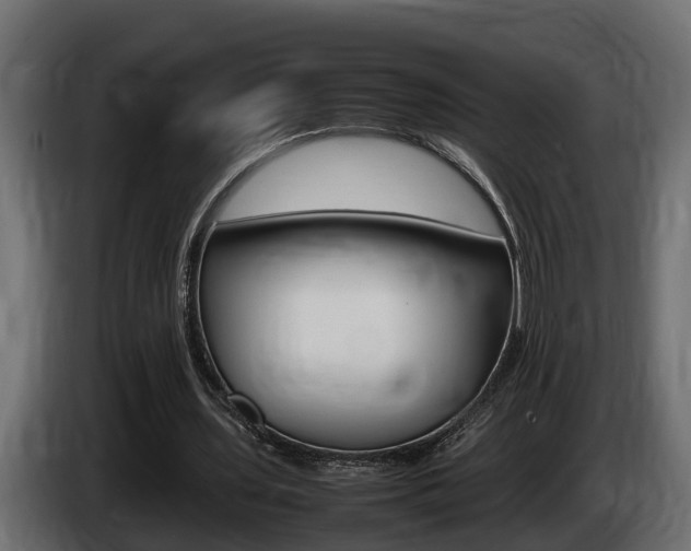 X0000086760435200704130818