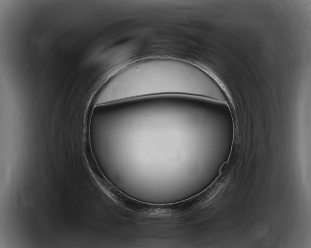 X0000086760437200704130818