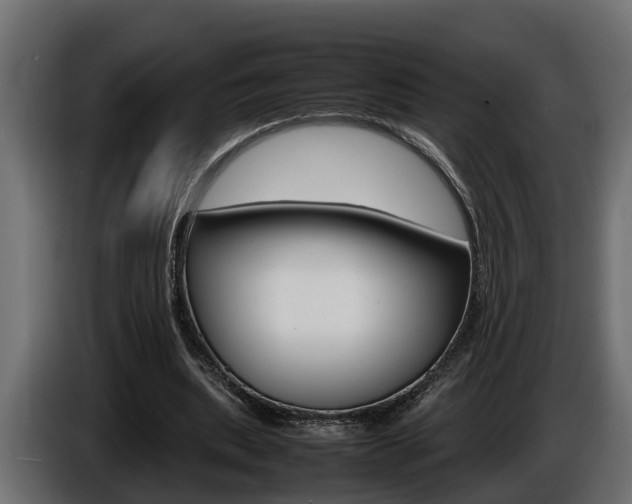 X0000086760439200704130818