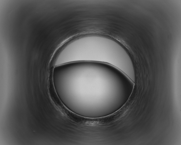 X0000086760440200704130818