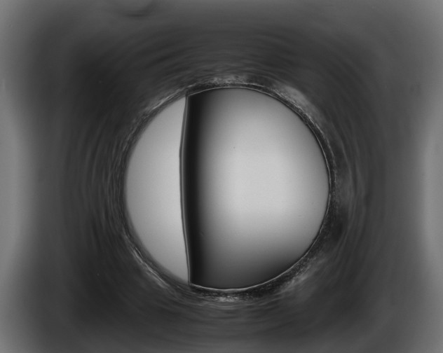 X0000086760441200704130818