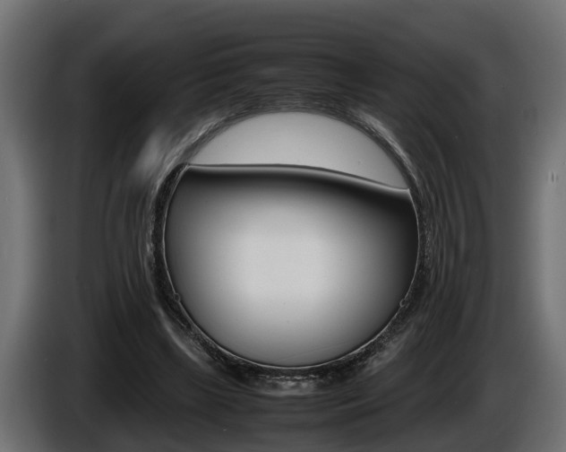 X0000086760443200704130818