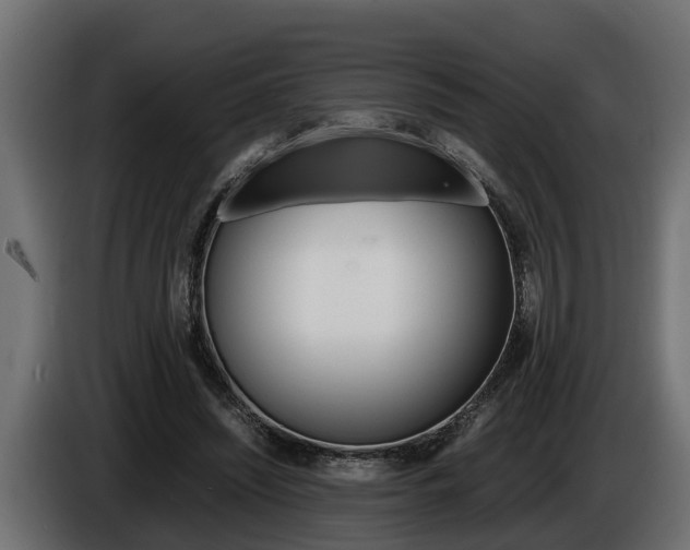X0000086760444200704130818